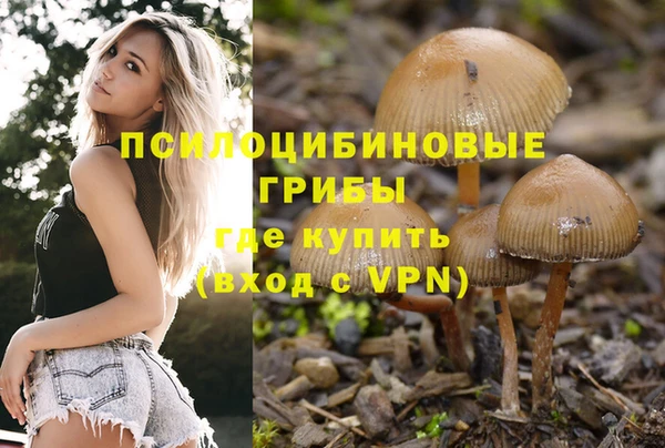 героин Бородино