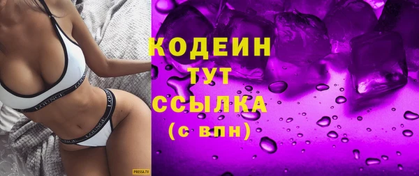 шишки Верея
