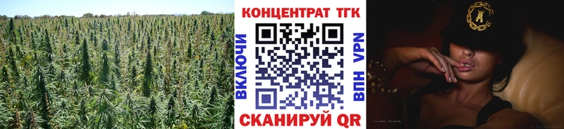как найти наркотики  Великий Новгород  Дистиллят ТГК вейп 